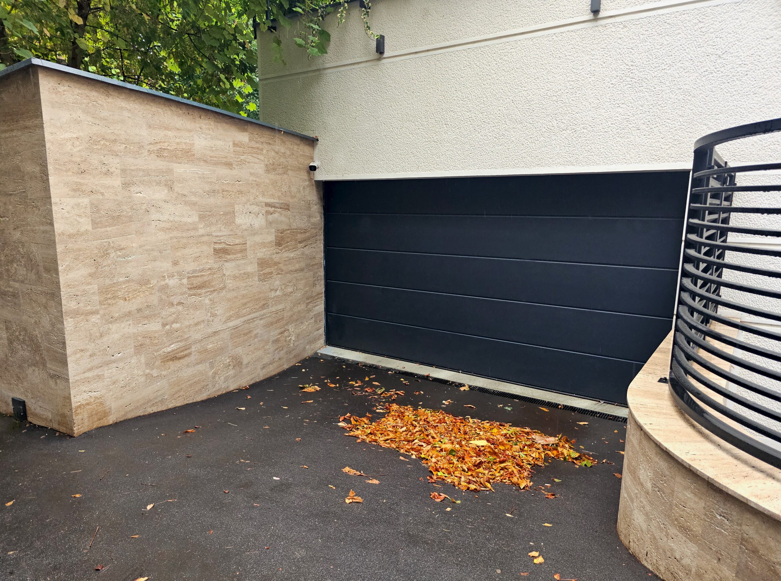 Leaves by garage door.