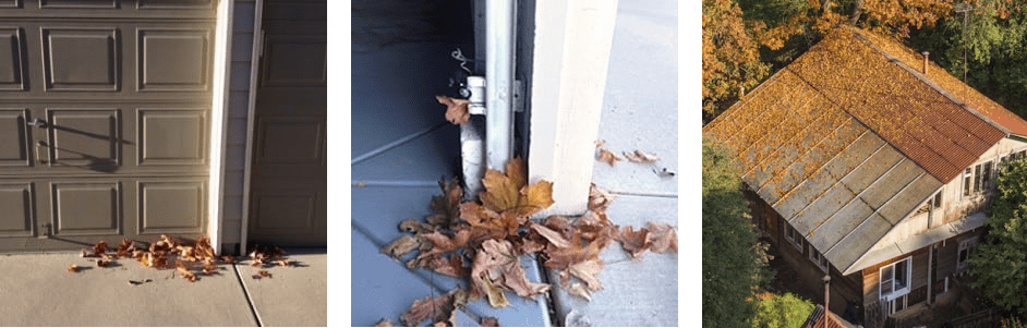Leaves in front of garage doors.